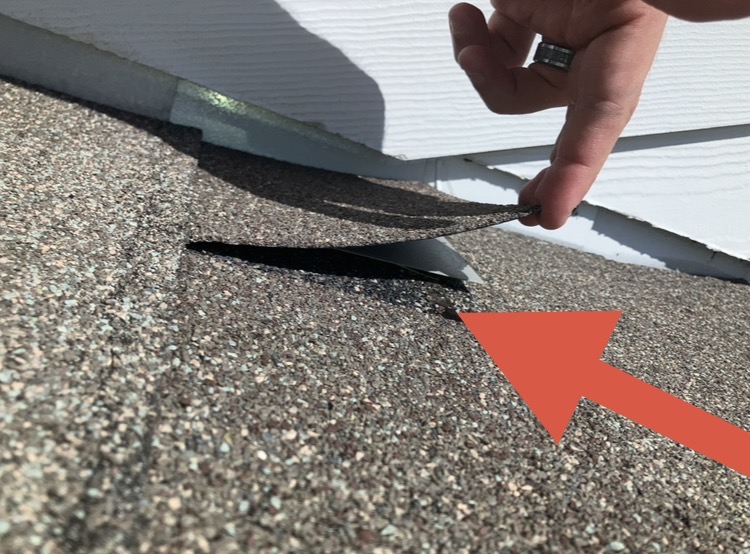 Loose asphalt shingles identified during four point inspection in Hernando County Florida