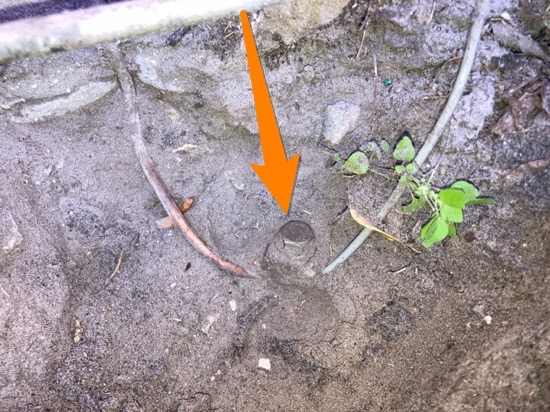 Electric ground rod - Spring Hill Full Home Inspection