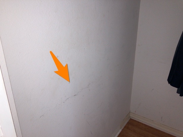 wall during home inspection in Spring Hill Florida